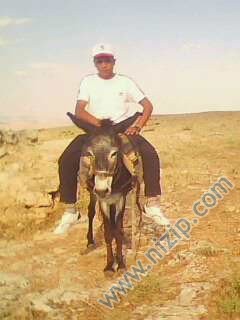 delbir koyu 