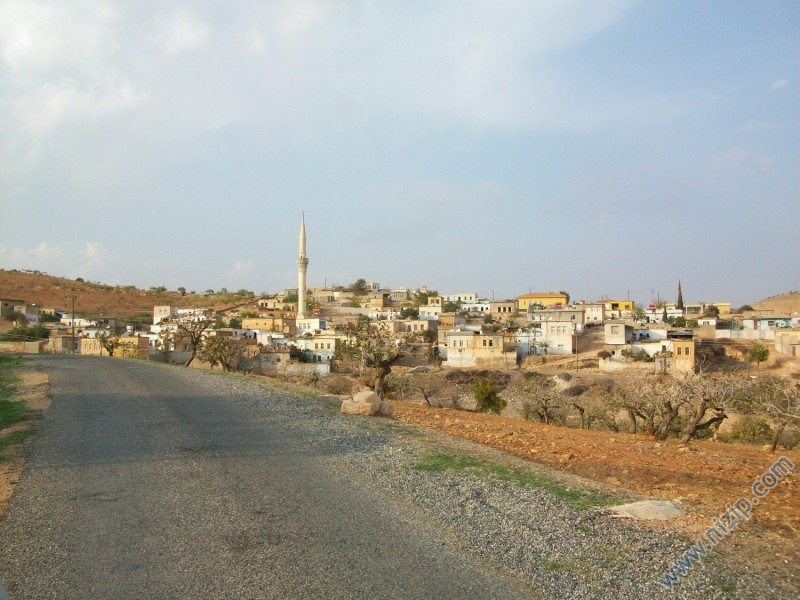 ÖZYURT KÖYÜNE NİZİP İSTİKAMETİNDEN GİRİŞ 