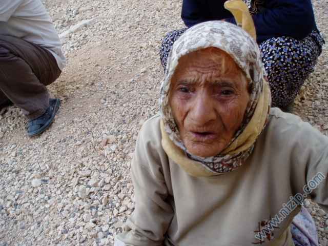 belkide nizipin en yasli halasidir (babamin halasi) 