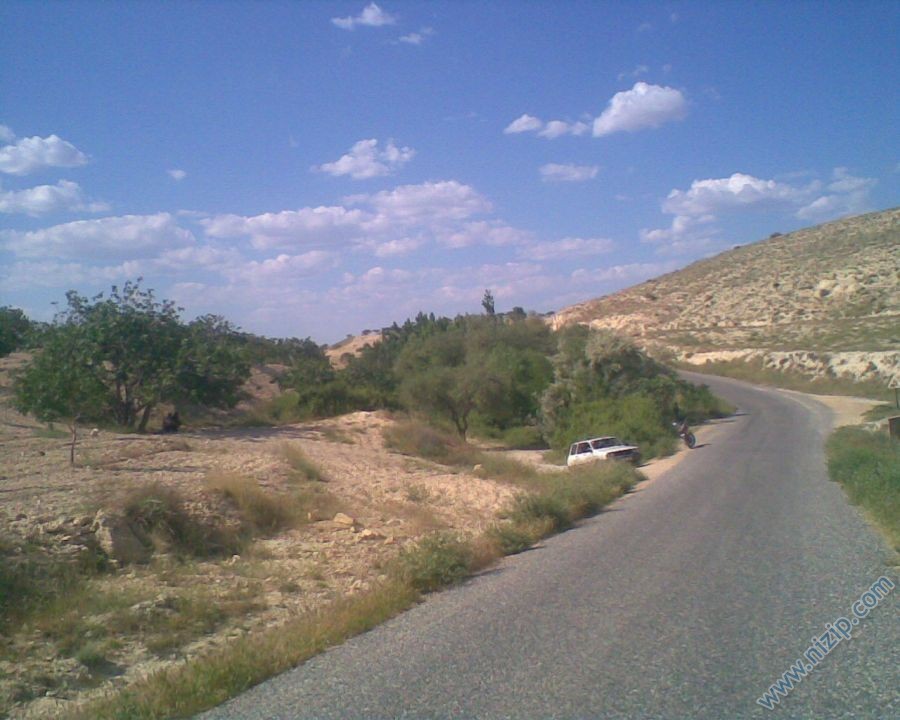 cortenı 