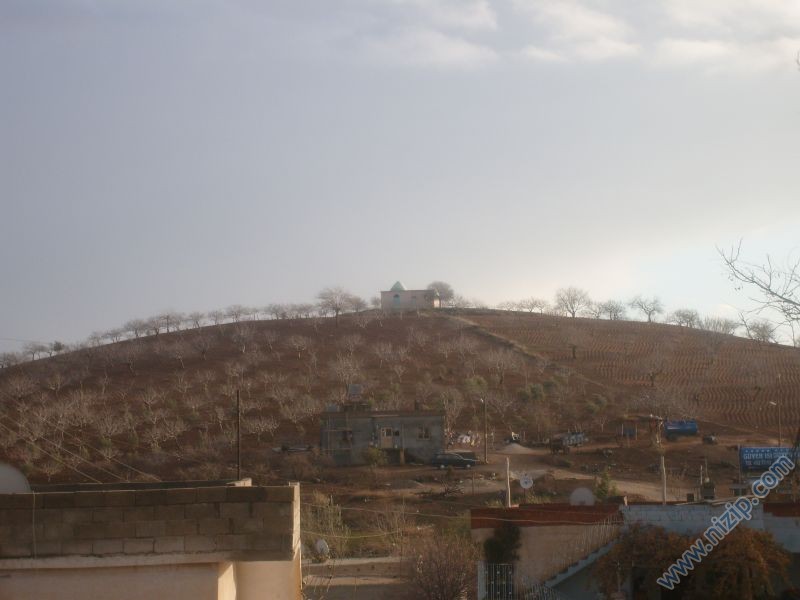 ziyaret 