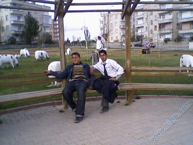 arkadaşlar 
