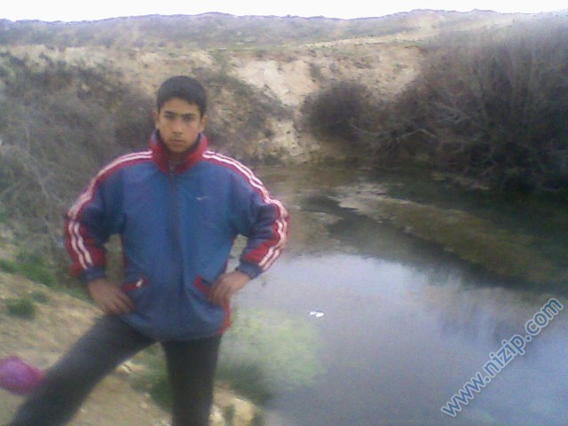 gazelei pınar 