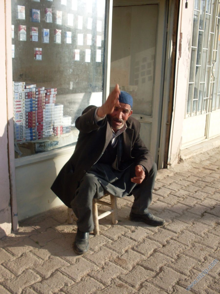 hamo hasan ammi 