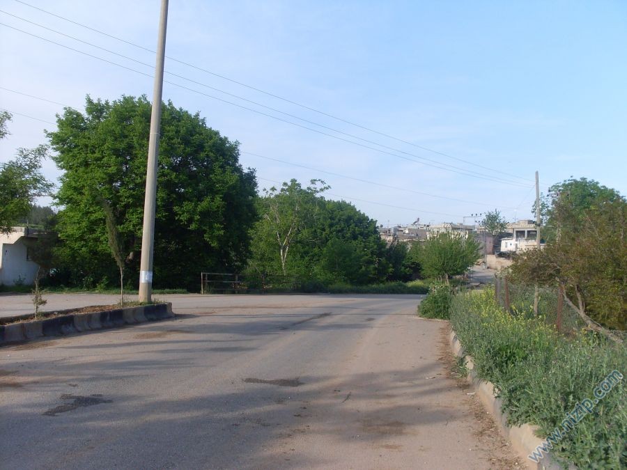 pınarönü 