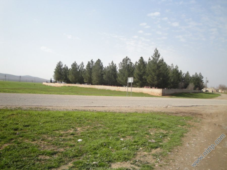 13841-DSC00957 