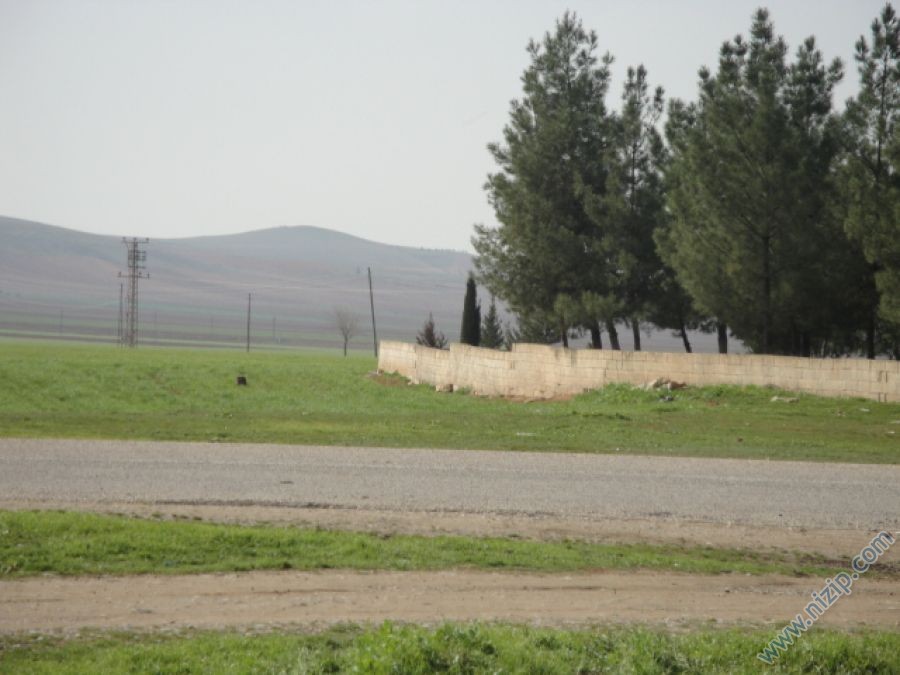 13841-DSC00953 