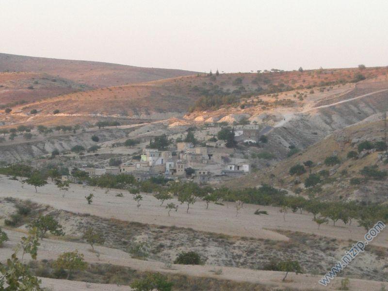 Söğütlü_1 