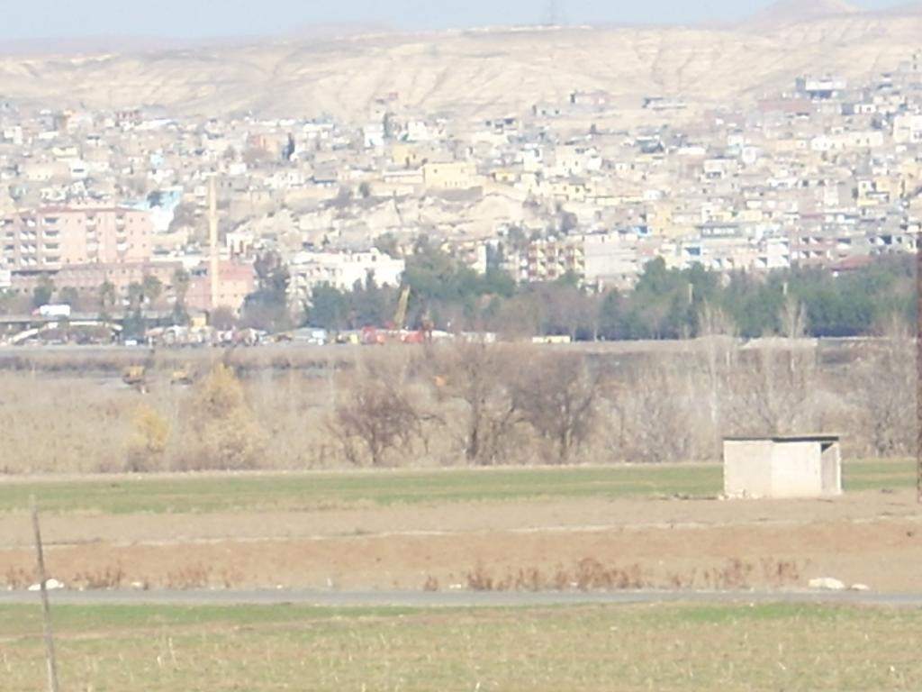 koyden bireciğe bakış 