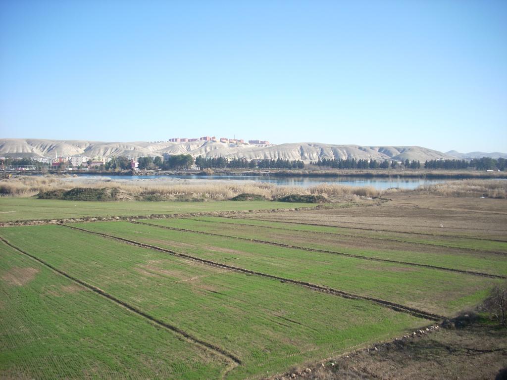 koyden manazara 