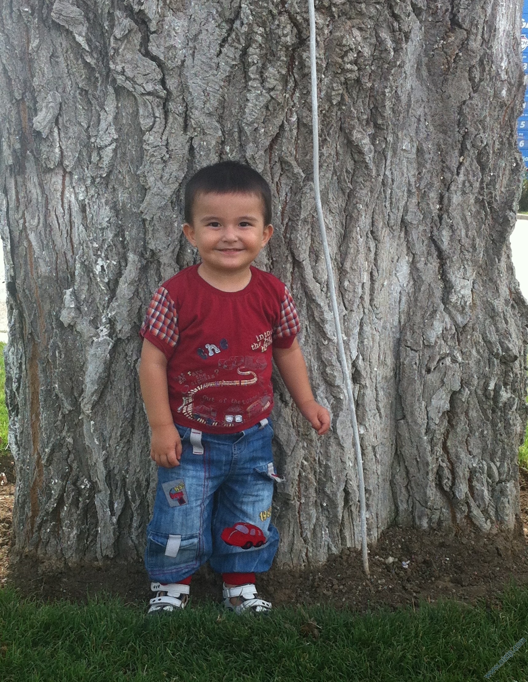 OSMAN TALHA ASLAN 