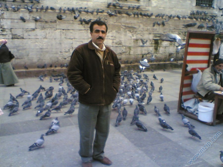 6907-HALITTURKMEN 
