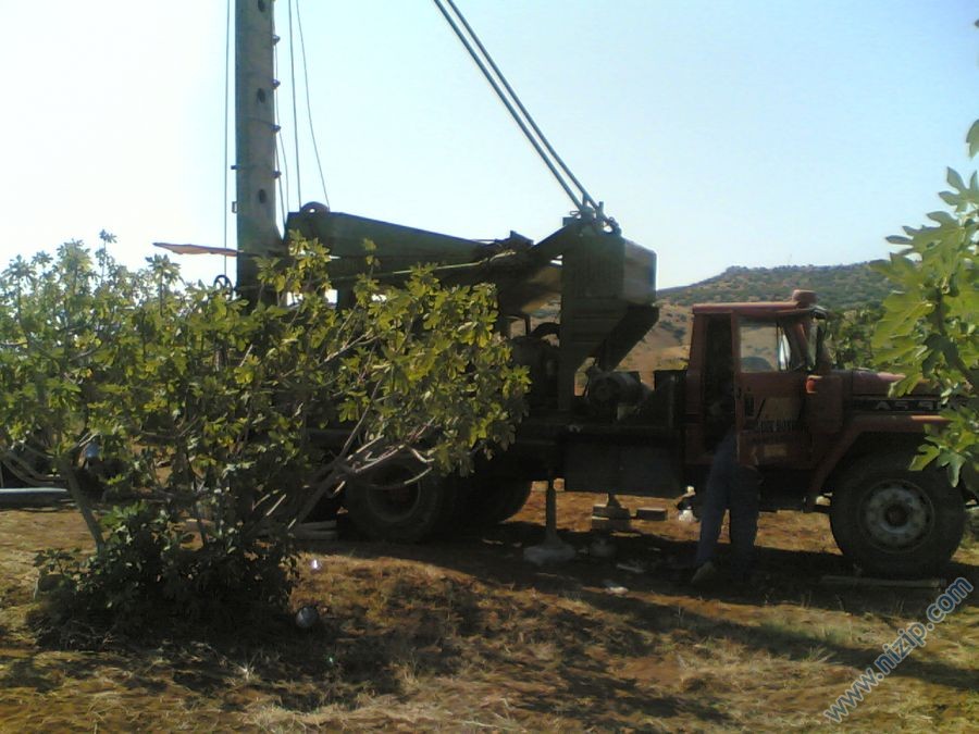 KADİR DEMİR :ZOL (fıstıklık) 