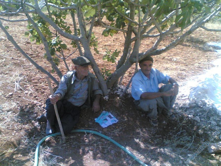 sadin demir&yasin aslan 