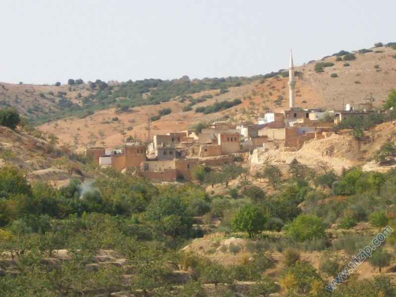 BAHÇELER VE KÖYÜMÜZ 