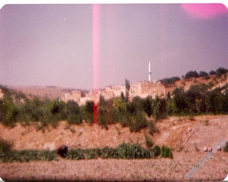 TANIR (KİLİSECİK) KÖYÜ 