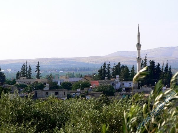 HARMAN MAHALLESİ 