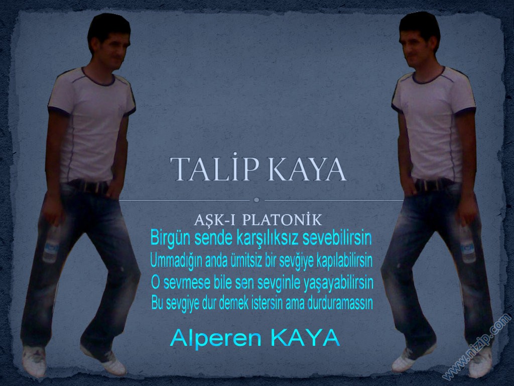 talip kaya 
