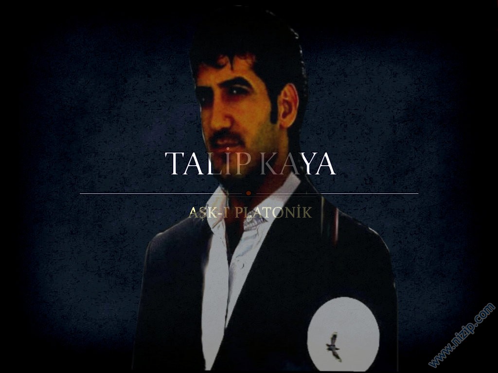 talip kaya 