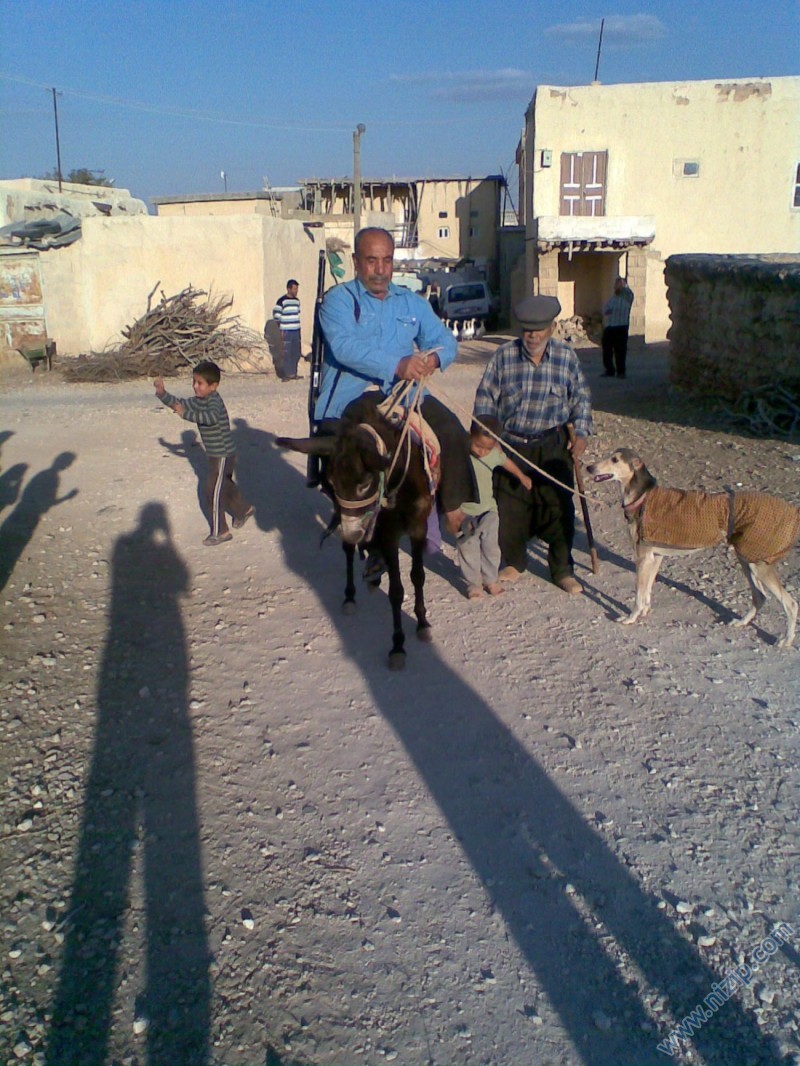 mehmet şahan 