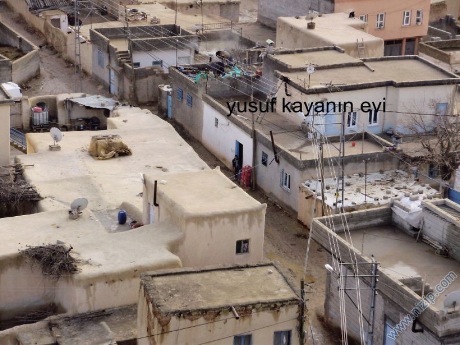 işte yagmuralan 