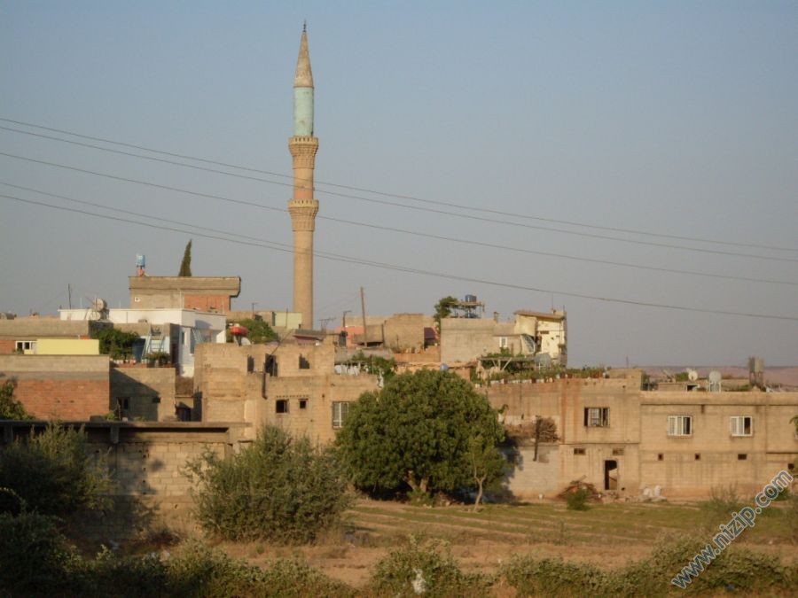 Yeniyazi Köy 