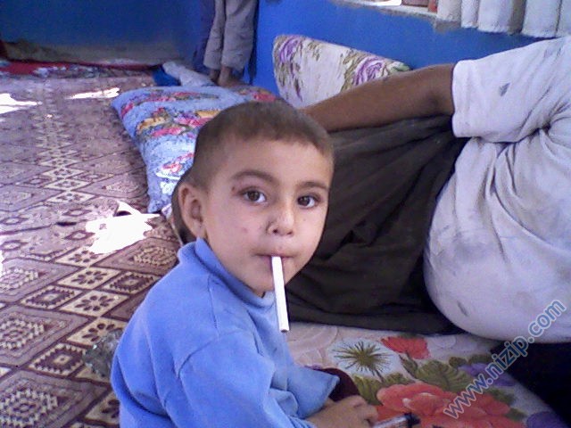 şıho gören 