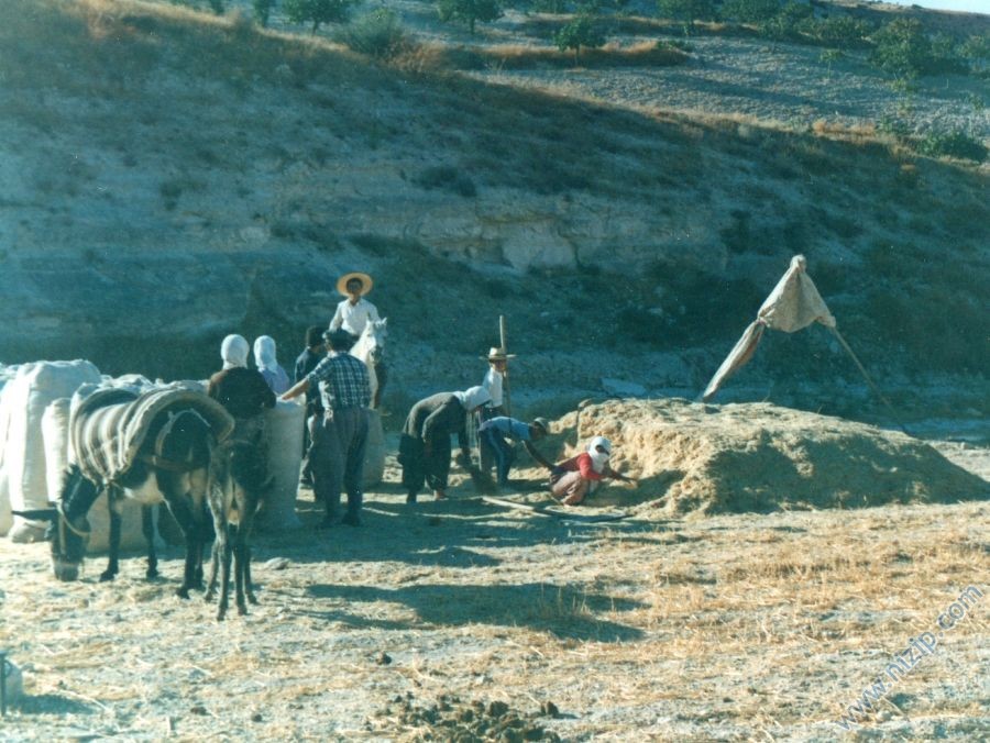YEŞİLTEPE-MINDIKLI(akfırat çiftliği harman yeri) 