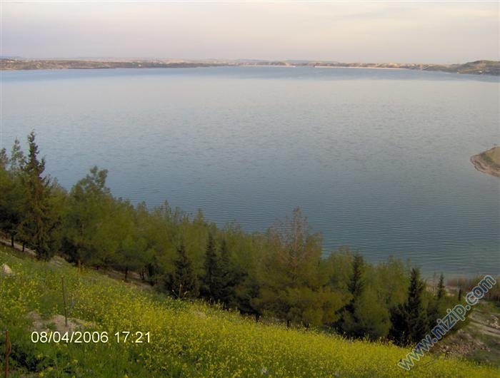 AKFIRAT ÇİFTLİĞİ 