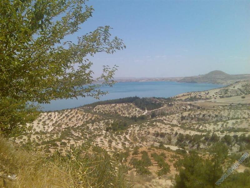 Akfırat Çiftliği 