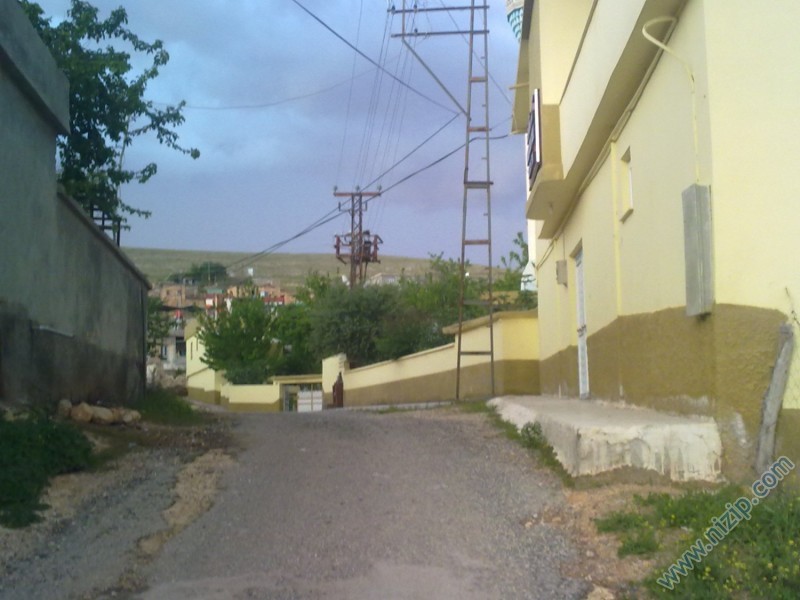 29042010055 