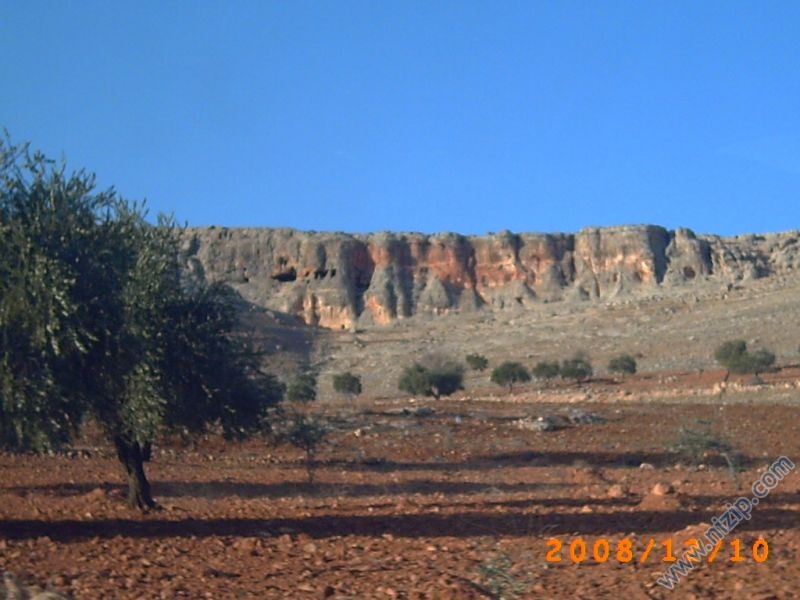 yukarı cardak 