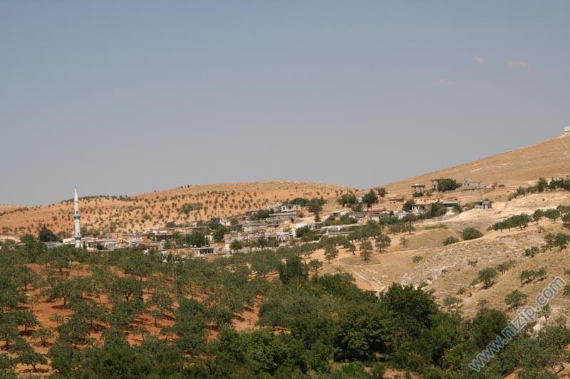 Yukarı Çardak Köyü 