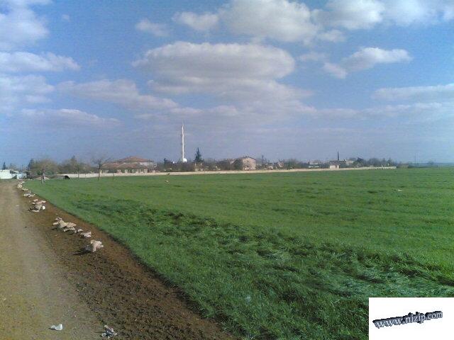 1741-20070204190551_5932_1 