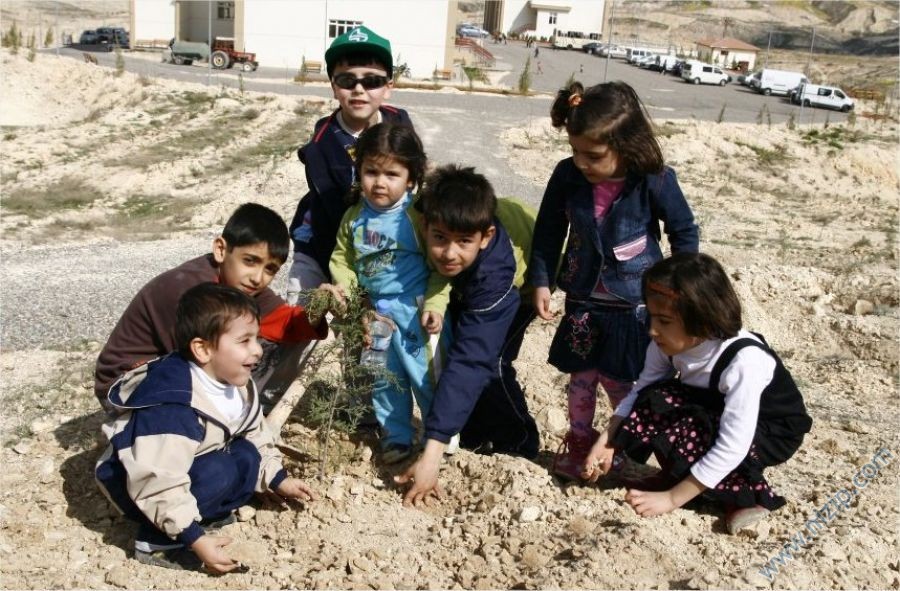 2009 ağaç dikimi 
