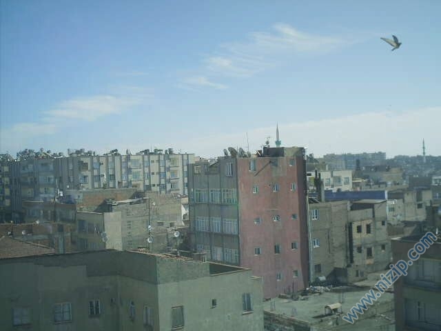 Niizp kuş bakışı Selim Bacaksız 