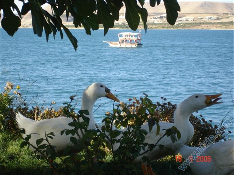 zeugmada tekne turu doğa ve göl içiçe... 