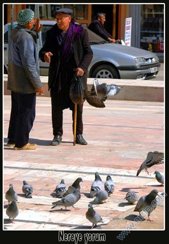 nereye Yorum 