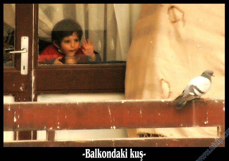 Balkondaki kuş 