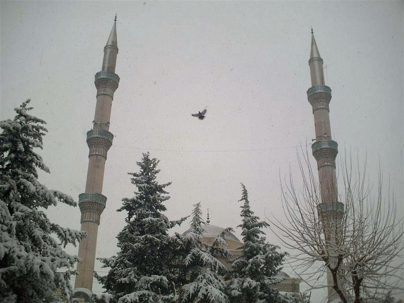 Metin Özmen Camii 