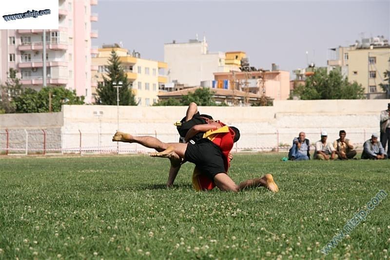 Aba güreşi 