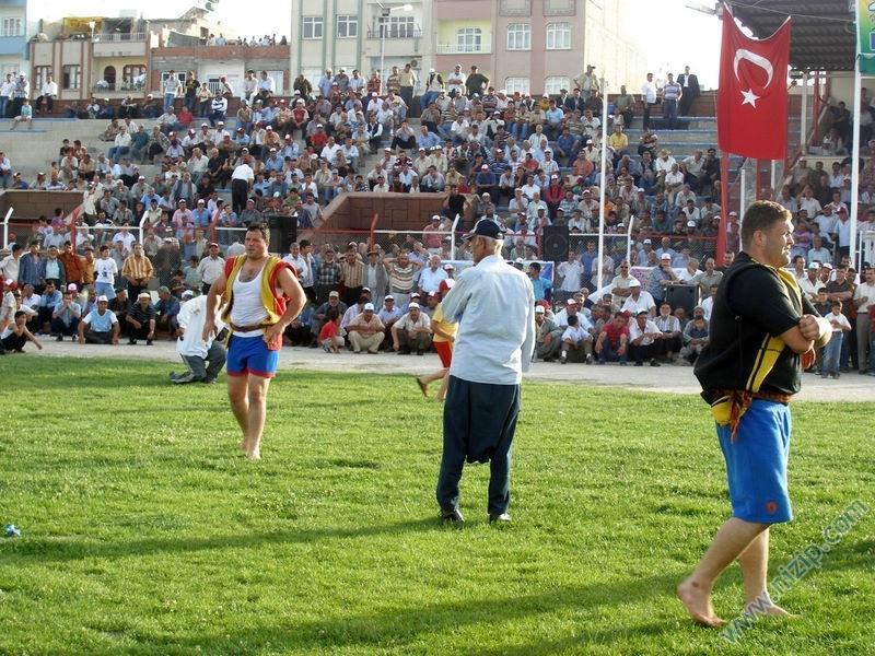 aba güreşleri 