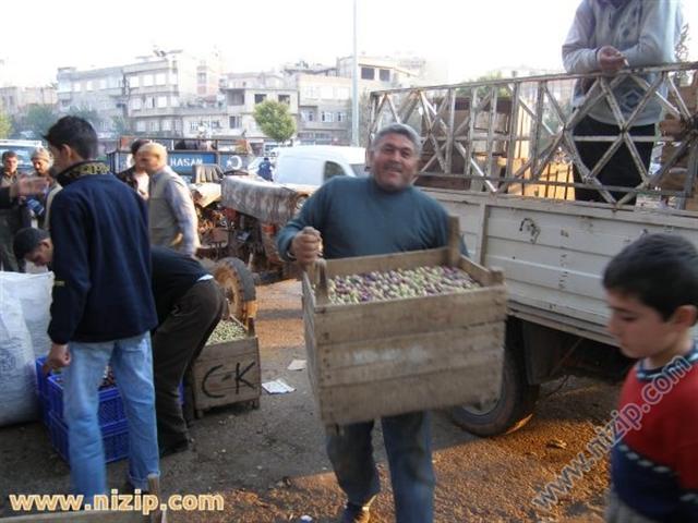 aba güreşi 