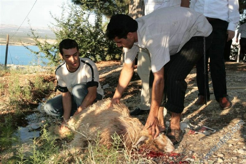 18 agustos toplantısı 