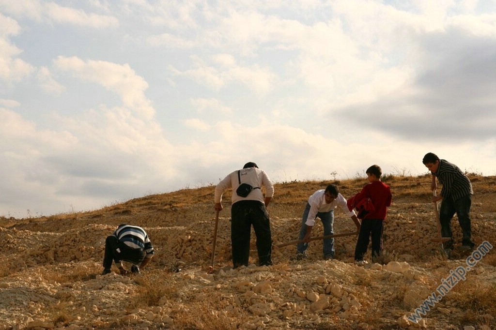 2007 yılı Yüksek okul bölgesi fidan dikimi 