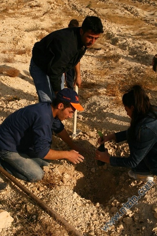 Yüksekokul Bölgesine Ağaç Dikimi 2007 