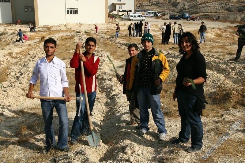 Yüksekokul Bölgesine Ağaç Dikimi 2007 