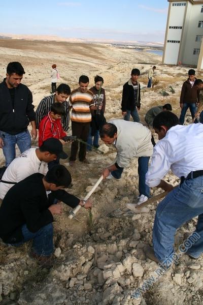 yüksekokul 2007 ağaç dikimi 