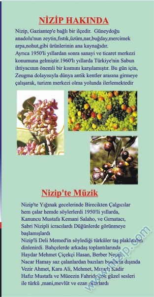 Nizip YIĞINAK GECESİ 1 