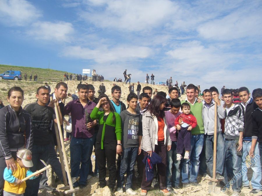 tedaş fidan dikimi 